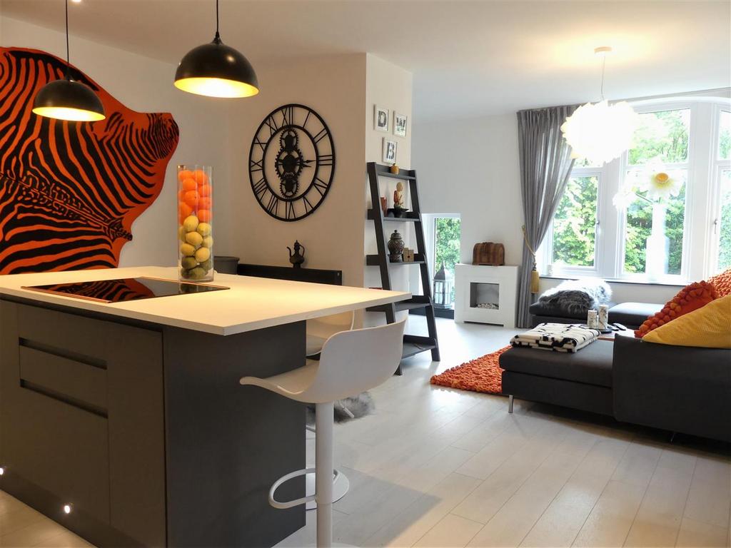 Open Plan Living Area & Kitchen