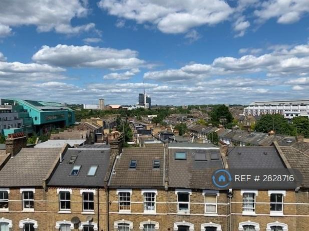 Skyline View