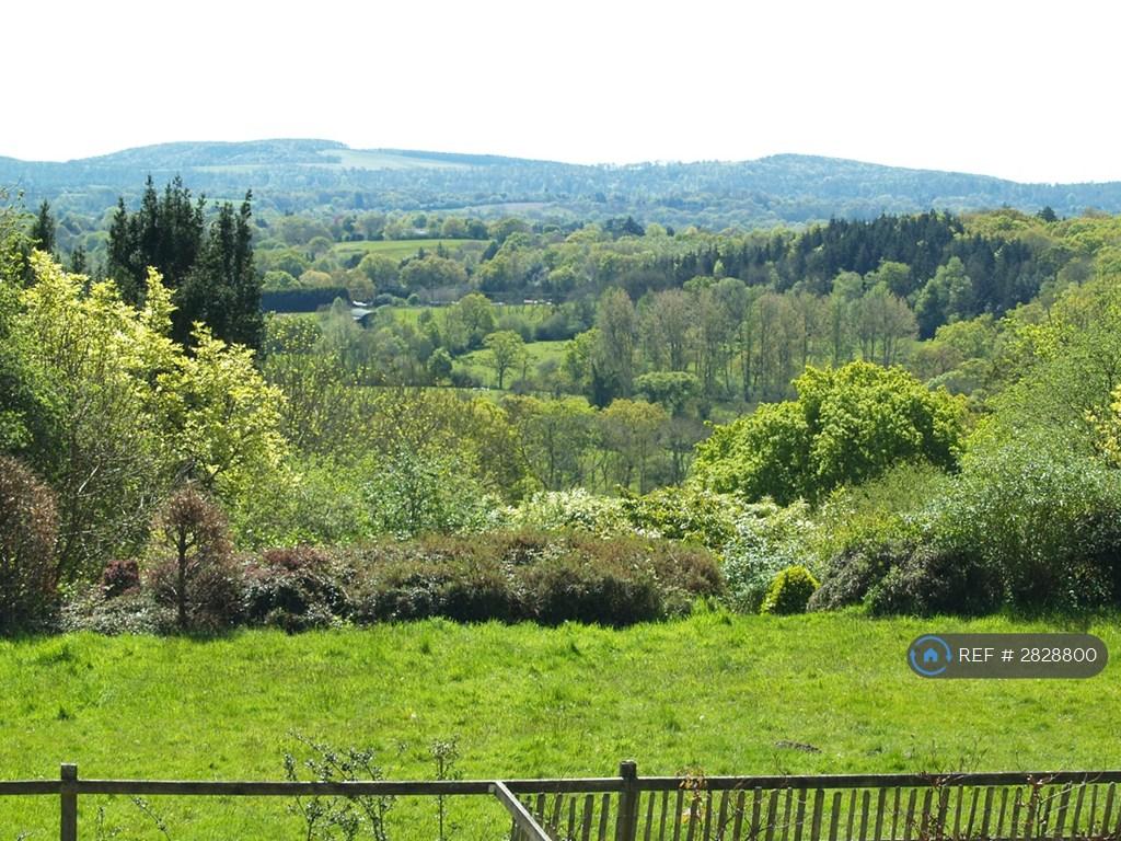 View From Lounge