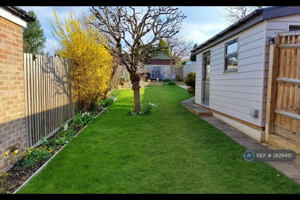 Garden 1