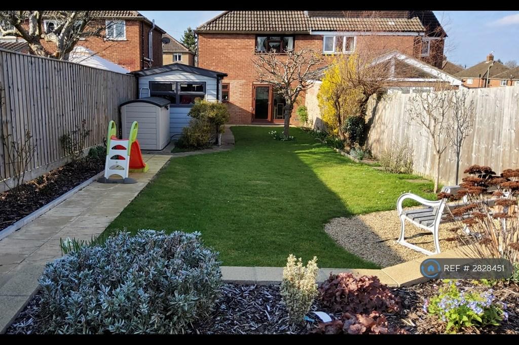 Garden 3