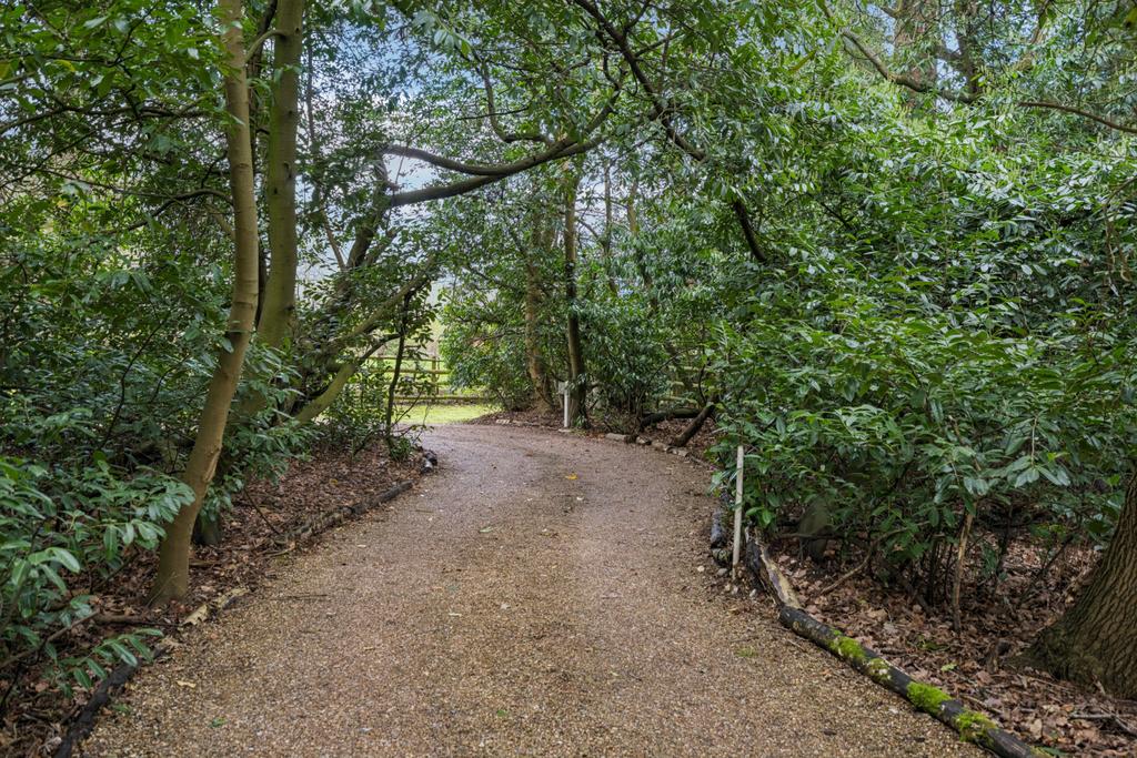 Driveway
