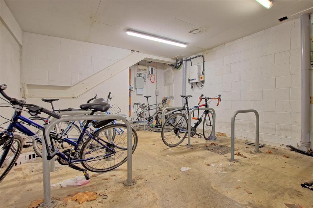 Bike.jpg