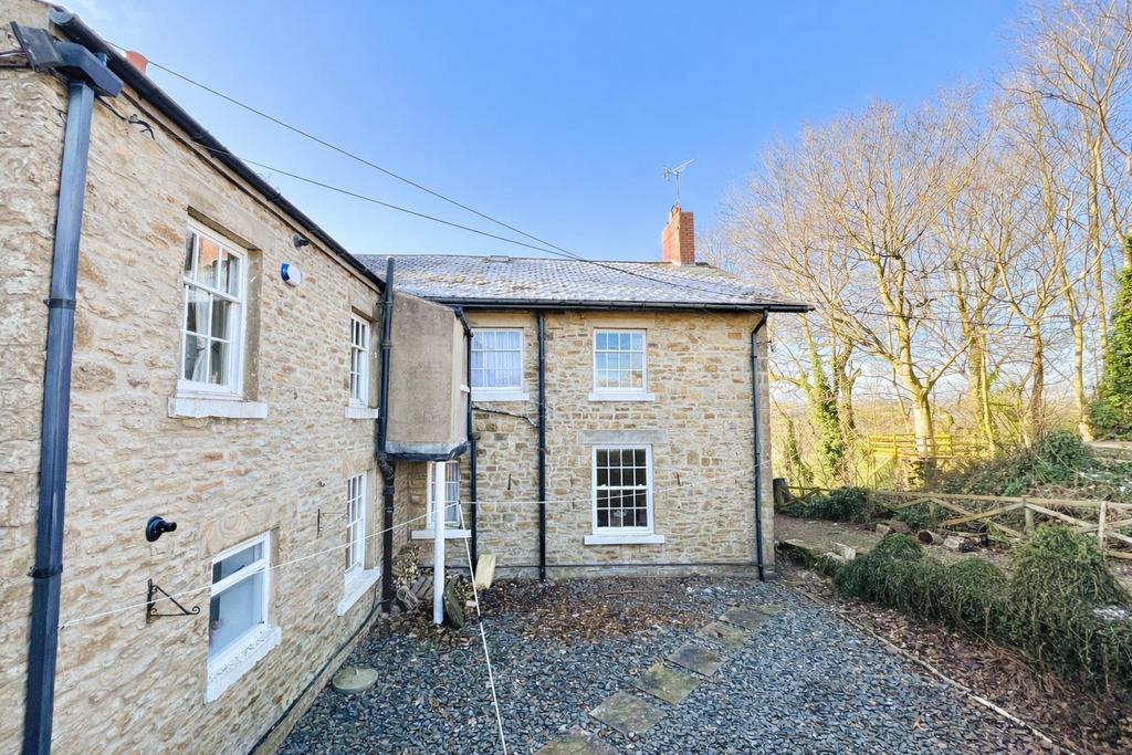 Rear yard