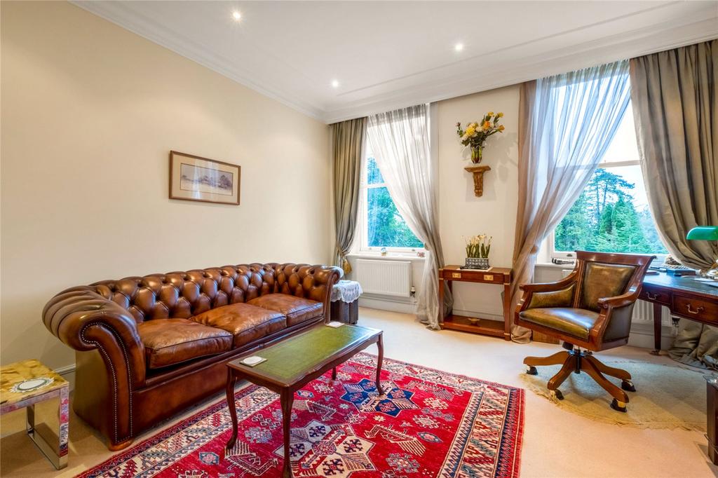 Bedroom/Living Room
