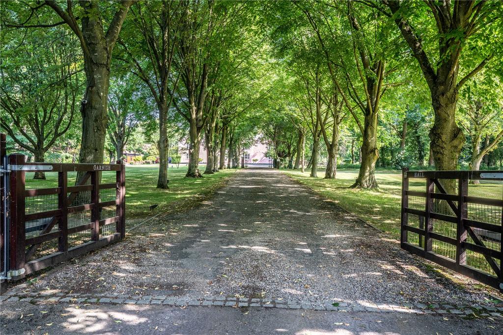 Entrance Drive