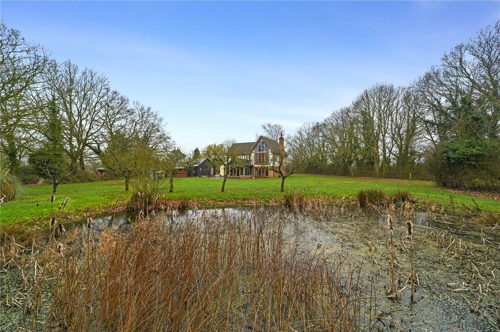 Garden and Pond