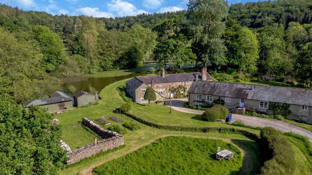 Ark Farm