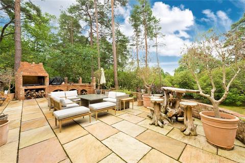 undefined, Dukes Covert, Bagshot, Surrey, GU19