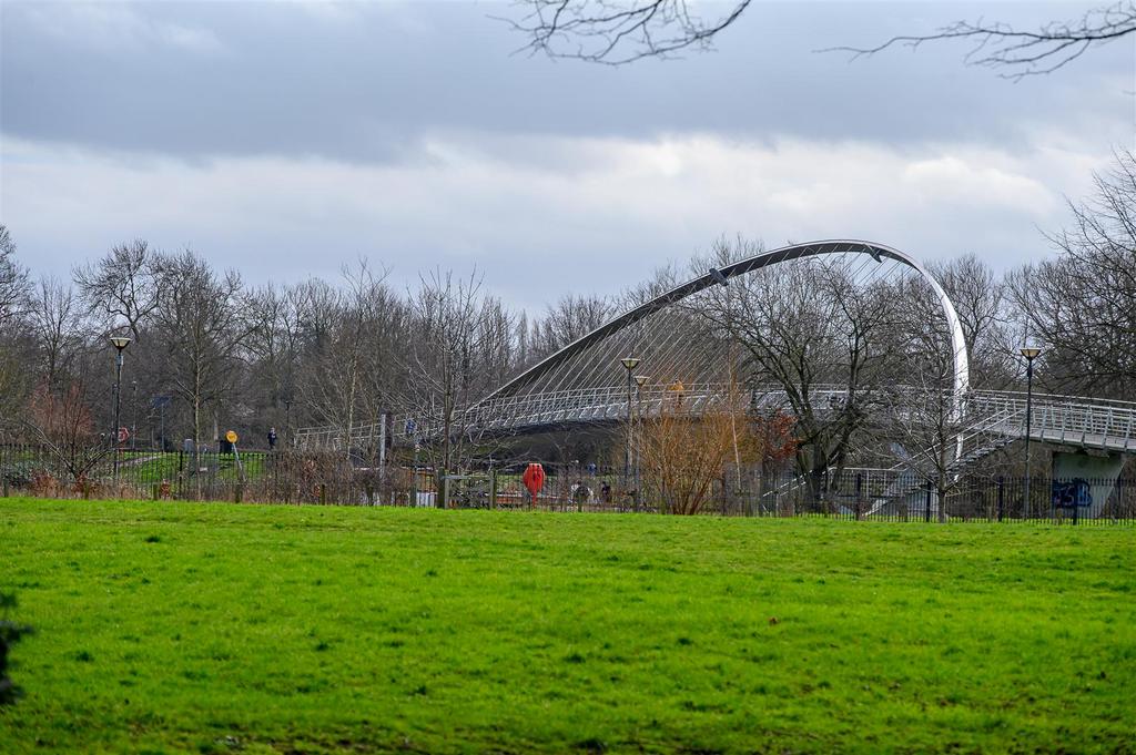 Rowntree park