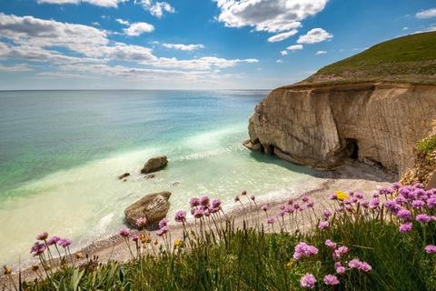 undefined, Newport Isle of Wight