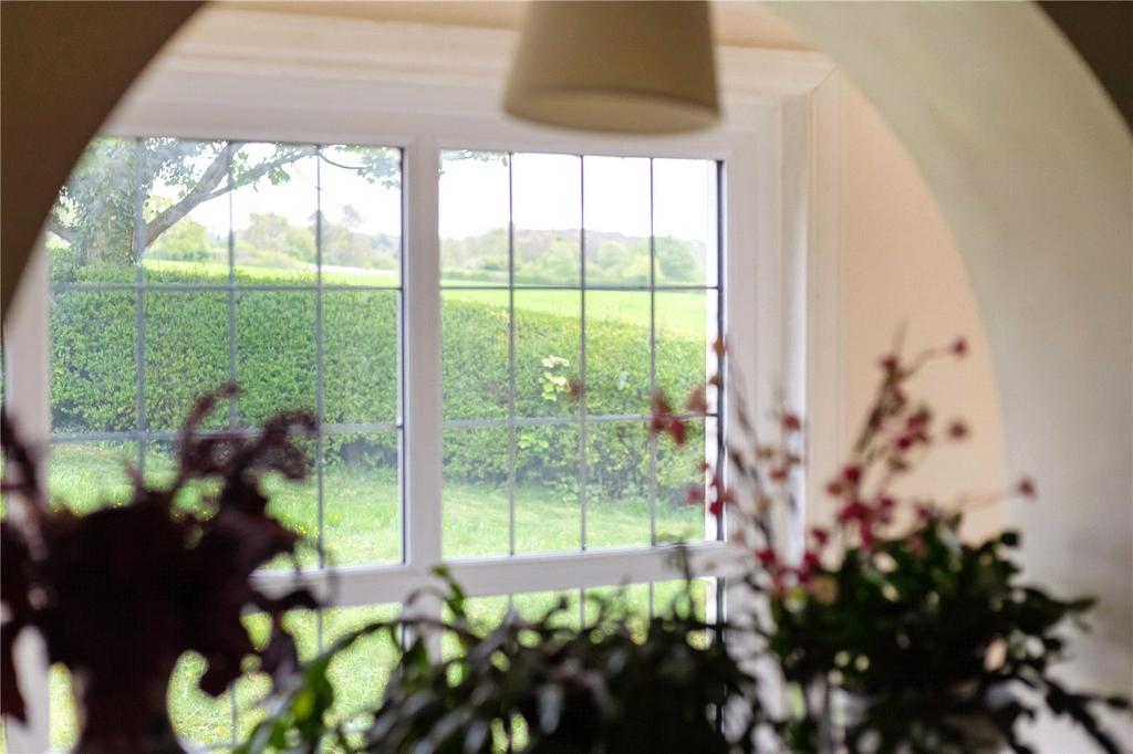 View From Window