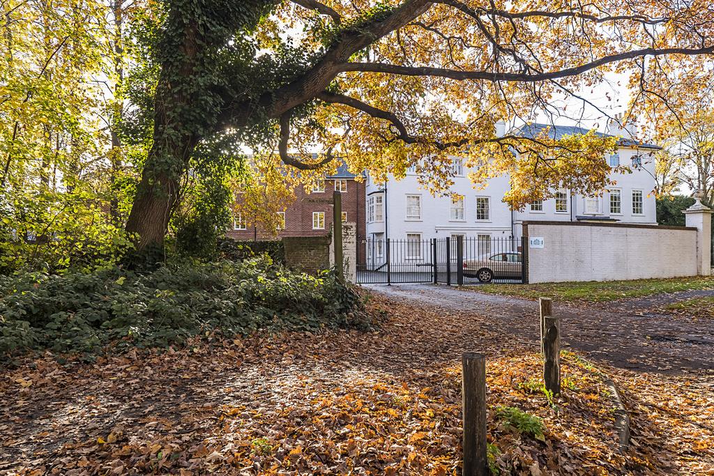 Flat-c-the-newlands-