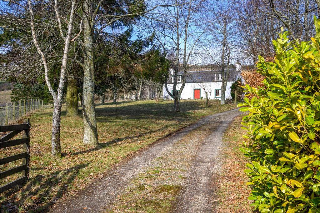 Driveway Entrance