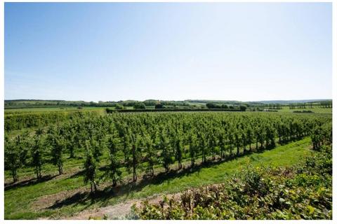 undefined, Perry Wood, Selling, Faversham, Kent, ME13