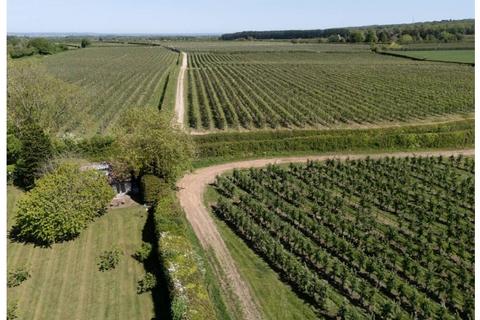undefined, Perry Wood, Selling, Faversham, Kent, ME13