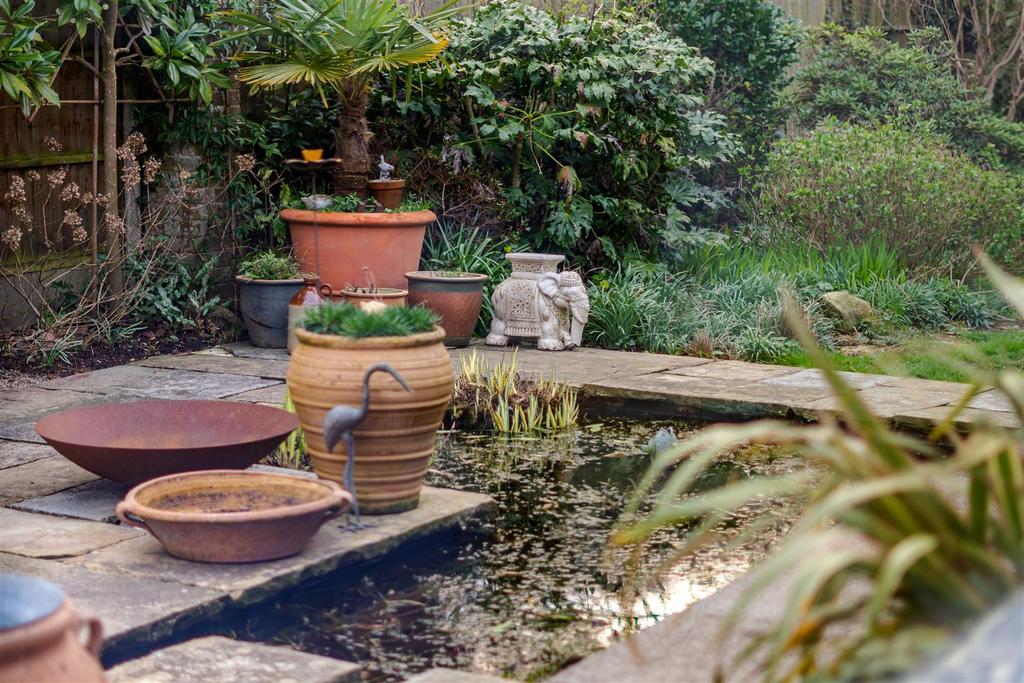 Pond