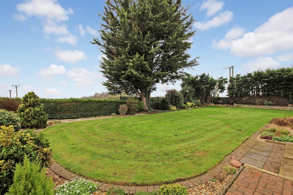 Rear Garden.JPG