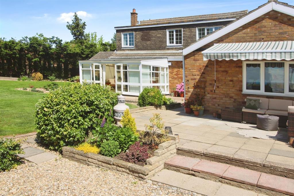 Rear patio.JPG