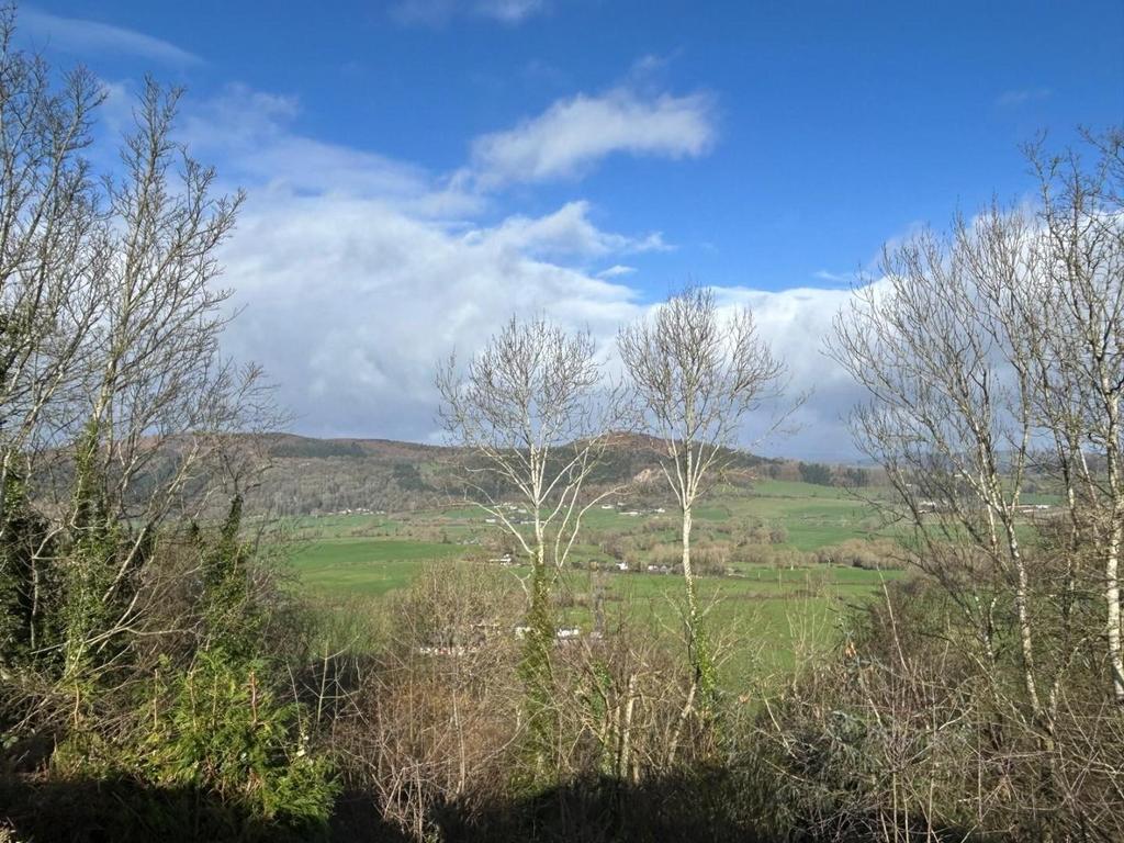 View.jpg