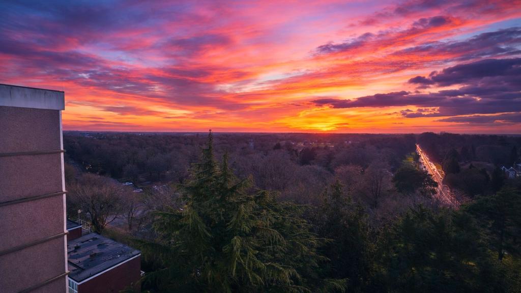 Sunset Balcony Views over the War Memorial Park