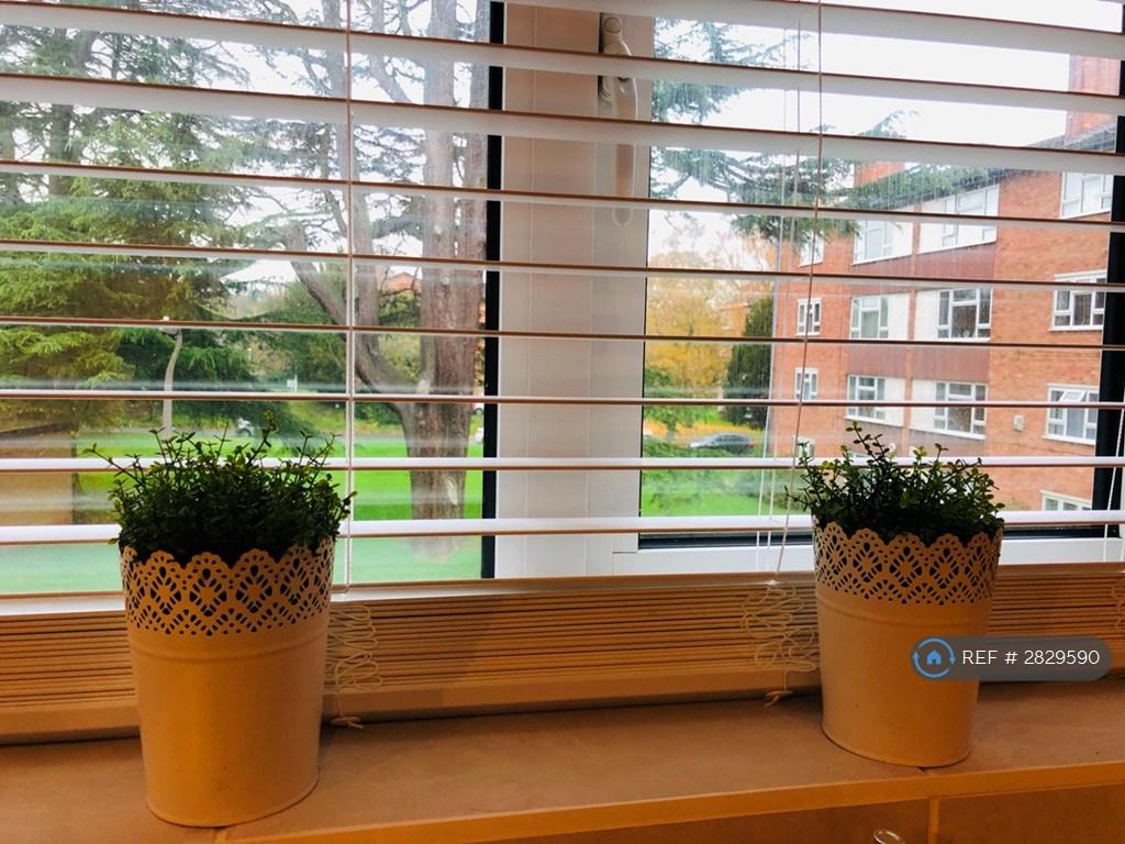 Kitchen View