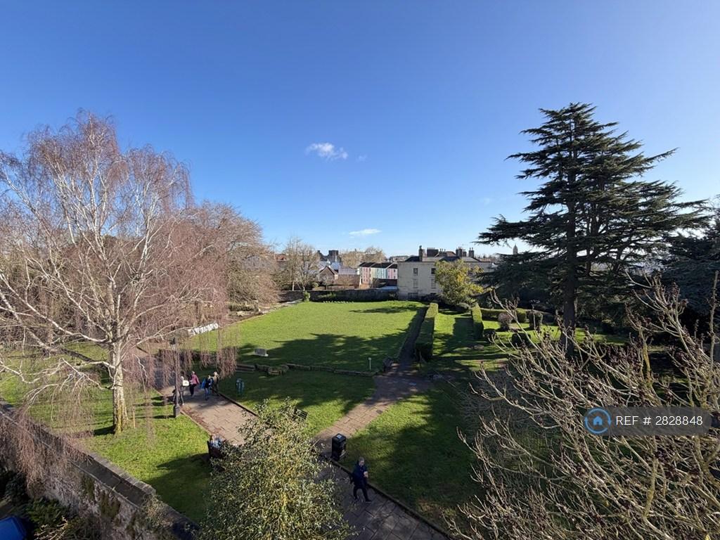 Views (Back)