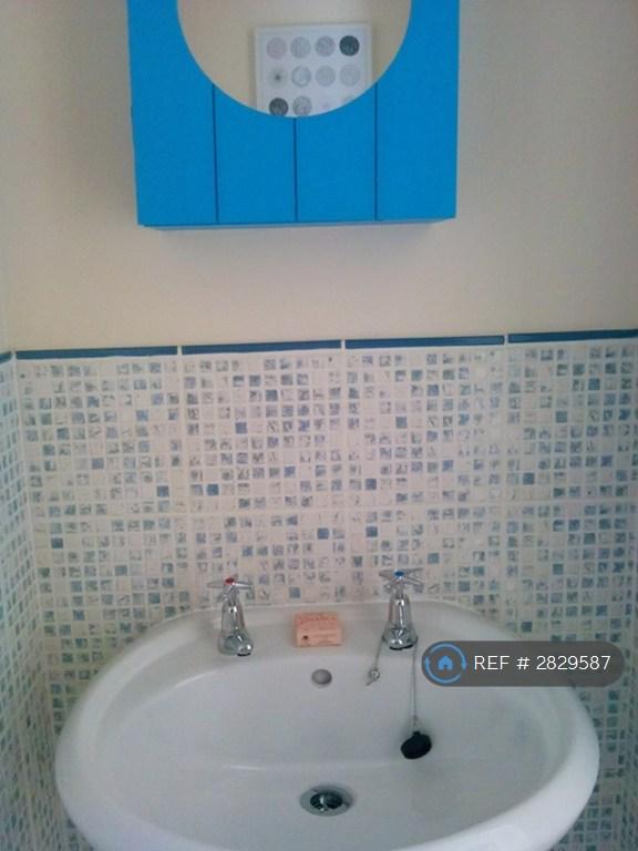 Ensuite Washbasin And Wc