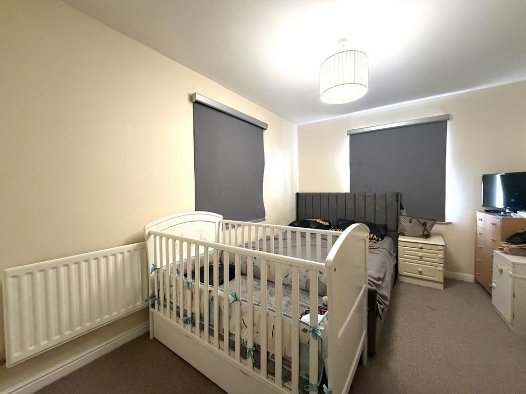 Picture 8