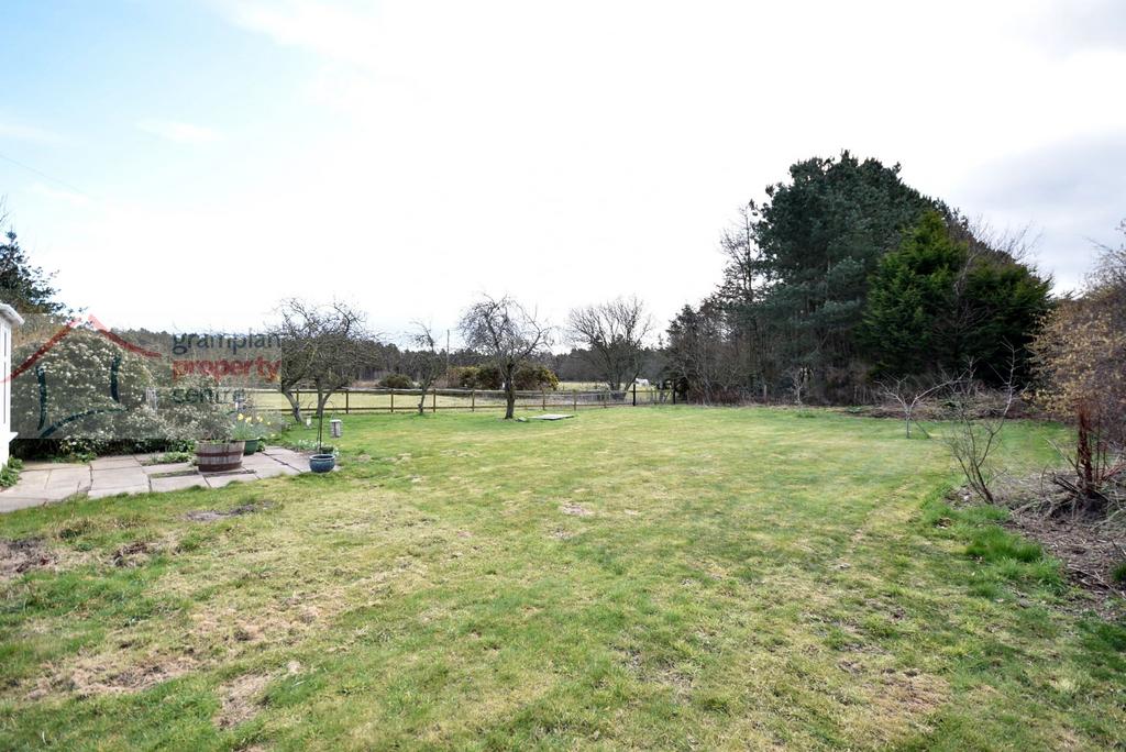 Garden .JPG