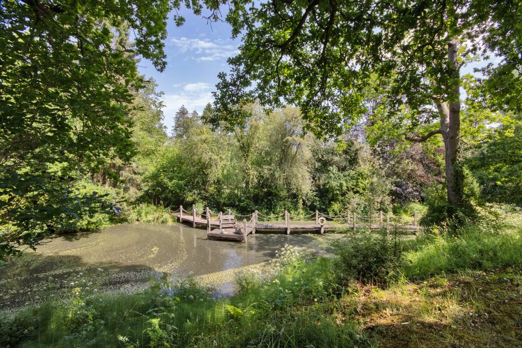 View Of Pond