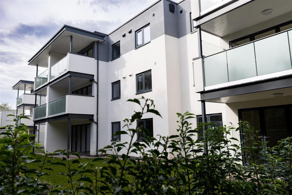 Willow view