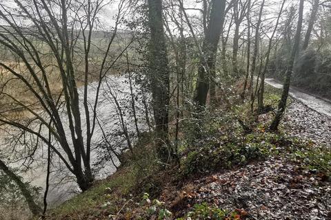 undefined, Harewood, Calstock