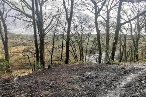 undefined, Harewood, Calstock