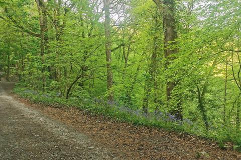 Land for sale, Harewood, Calstock