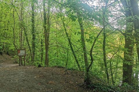 Land for sale, Harewood, Calstock