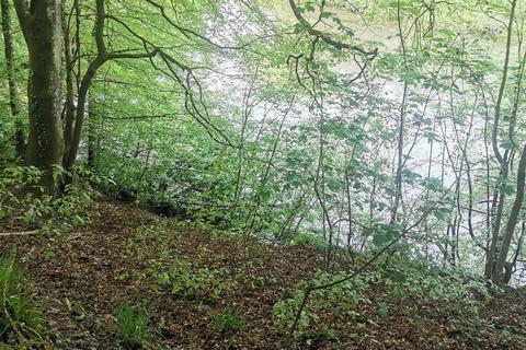 Land for sale, Harewood, Calstock