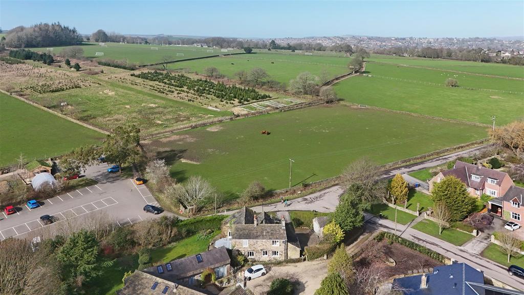 DJI 20260303123226 0265 D.jpg