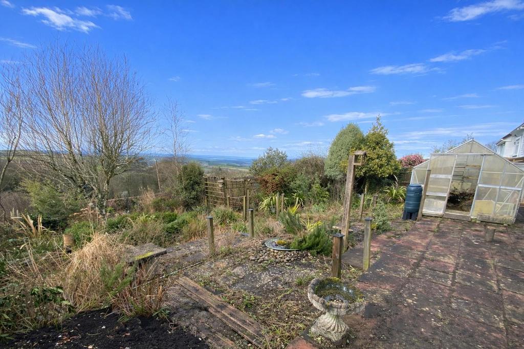 6 Treefield