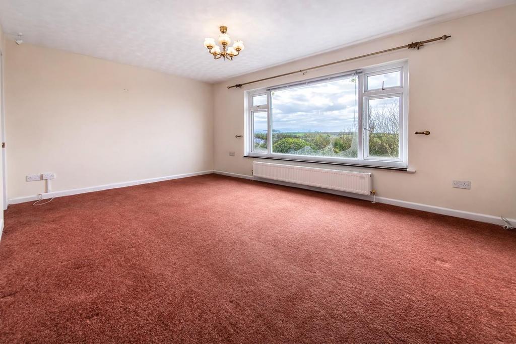 6 Treefield
