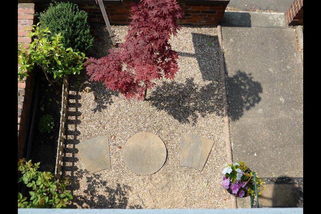 Garden.jpg
