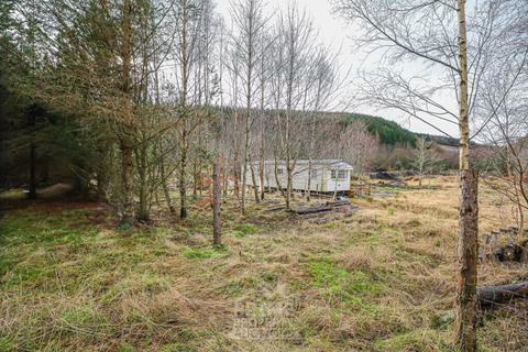 undefined, Whiskey Fields, Elgin IV30