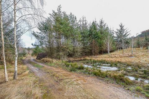 undefined, Whiskey Fields, Elgin IV30