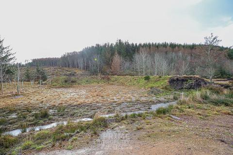 undefined, Whiskey Fields, Elgin IV30