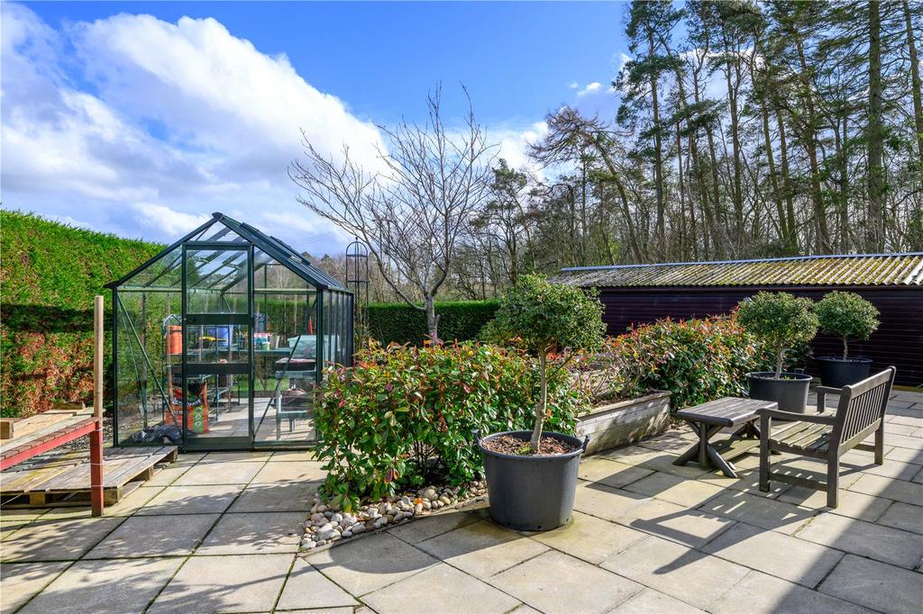 Patio/Raised Beds