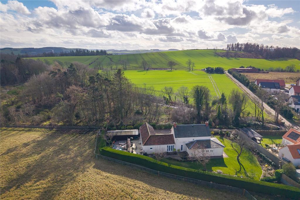 Aerial Shot