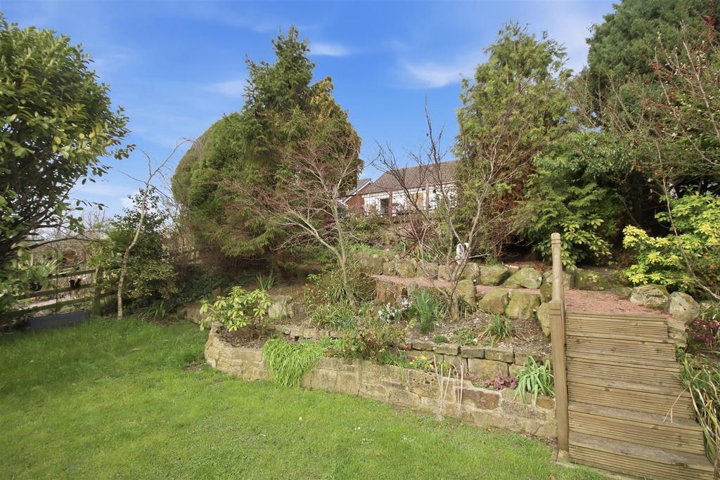 Rear Garden 2