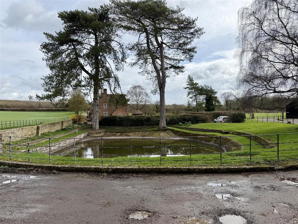 Pond.jpeg