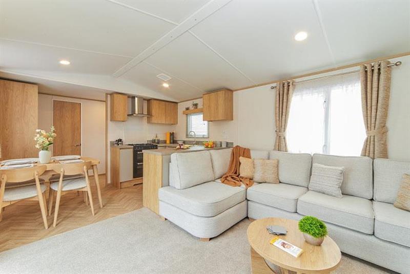 007920 0 20260316 00.jpeg