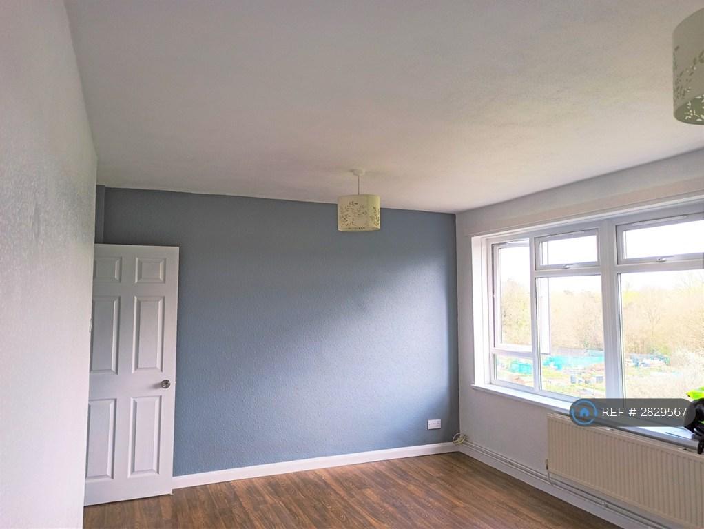 Large Living Room